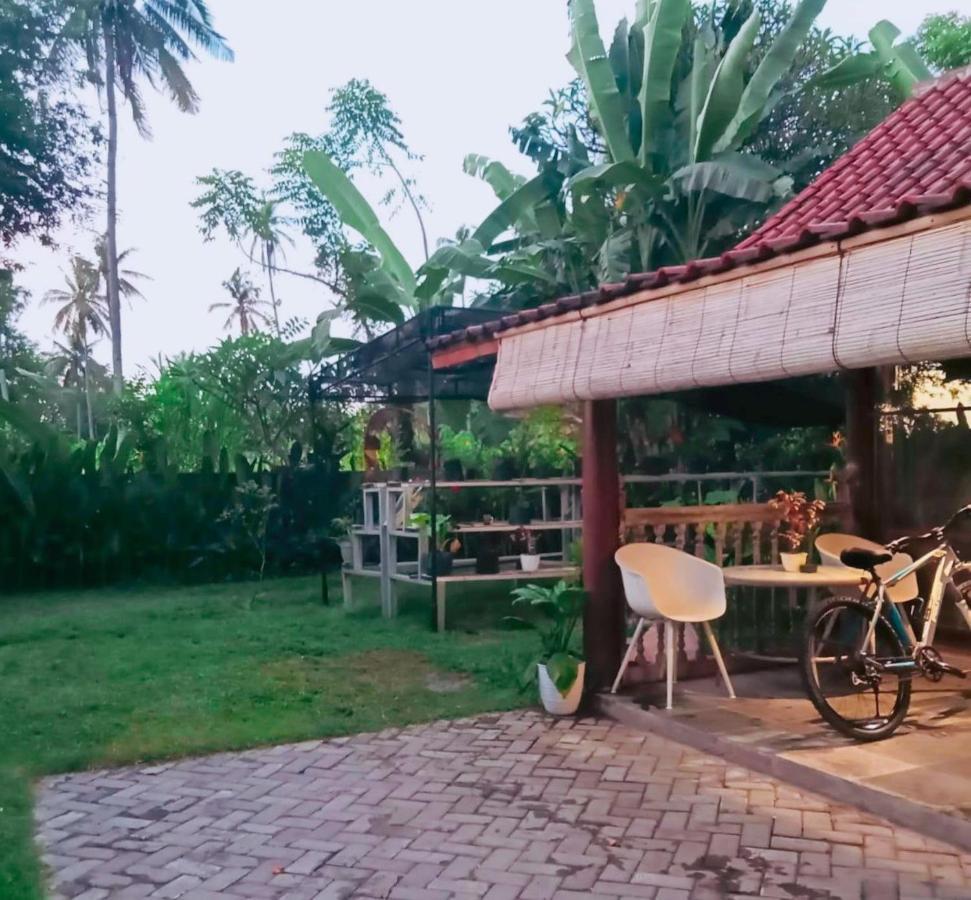 Al-Shifa Healing House Lombok 호텔 길리 아이르 외부 사진